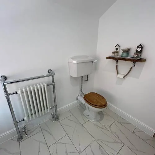 Traditional-style bathroom with column radiator and wooden toilet seat